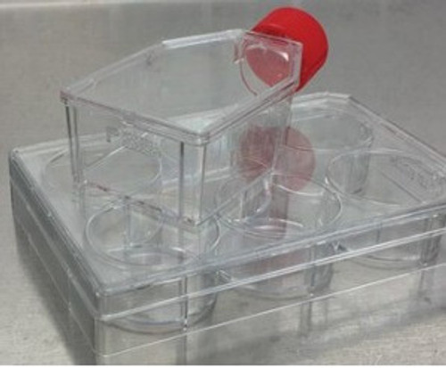 Clear Collagen 384-well, Flat Bottom TC-treated Microplate, with Lid, 5/Pack.
