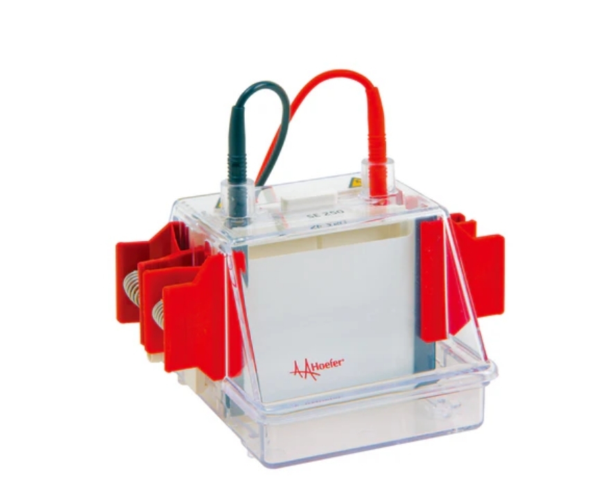 Electrophoresis Systems
