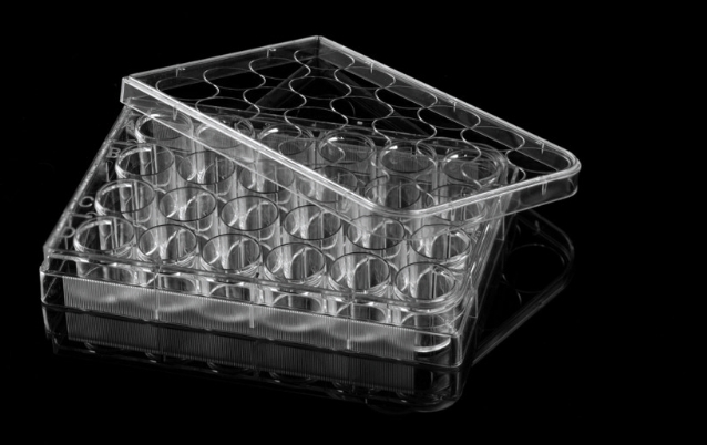 Cell Culture Plates
