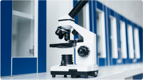 Who Are We Up Against? A Straightforward Look at the Competition: