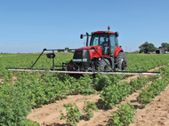 Weed Wiper vs. Boom Sprayer: When Wiping Beats Spraying