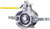 2" Female Adapter Stainless Steel Ball Valve-1703073019
