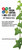 Spanish Plant Brochure