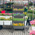 5-Tier Raised Garden Bed with Water Drainage for Flowers Vegetables