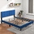 Queen Size Upholstered Platform Bed with Button Tufted Headboard-Blue B593-HU10569-Q