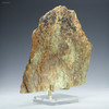 Jack Hills zircon rock 1.6 lb, side left view on an acrylic stand, Yilgarn Craton, Australia, for sale at Sciencemall-USA