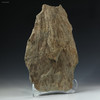 Side-left facing, large Beaverhead shatter cone 10.1 lb Specimen ID:87883, Sciencemall-USA