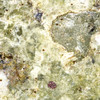 Green trinitite, Specimen ID:78997 magnified 5×, Sciencemall-USA