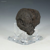 Left facing manganese nodule 51 grams Clarion-Clipperton Pacific Ocean, on a plexiglass riser, at Sciencemall-USA Left facing manganese nodule 51 grams Clarion-Clipperton Pacific Ocean, on a plexiglass riser, at Sciencemall-USA