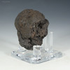 Right facing manganese nodule 51 grams Clarion-Clipperton Pacific Ocean, on a plexiglass riser, at Sciencemall-USA Right facing manganese nodule 51 grams Clarion-Clipperton Pacific Ocean, on a plexiglass riser, at Sciencemall-USA