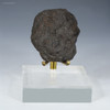 Manganese nodule 62.6 grams, facing front on a plexiglass riser, at Sciencemall-USA