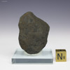 Complete 58 g back-facing polymetallic manganese nodule from the Clarion-Clipperton Zone on a display stand, at Sciencemall-USA