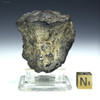 Complex surface, 38 g back-facing polymetallic botroydial manganese nodule from the Clarion-Clipperton Zone, Sciencemall-USA