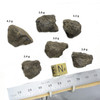 Side view of the range of sizes of polymetallic manganese nodules from this 5 lb bag, shown with ruler and sizing cube, at Sciencemall