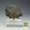 Complete back-facing 87 g manganese nodule Clarion-Clipperton Fracture Zone, for sale at Sciencemall-USA