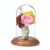 Fulgurite lightning sand vase flowers rose red pink bouquet under a glass dome on a white background.