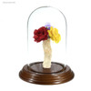 Fulgurite vase with six flower arrangement with glass dome, walnut base 85997, Sciencemall-USA