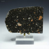 Large Vredefort Impact Structure melt rock South Africa 140 grams on a riser, facing front