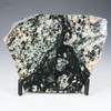 Front-facing, large pseudotachylite, Sudbury impact structure 215 grams, Sciencemall-USA