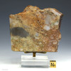 Front-facing Jack Hills metaconglomerate from Erawondoo Hill on a display riser and sizing cube, Sciencemall-USA Front-facing Jack Hills metaconglomerate from Erawondoo Hill on a display riser and sizing cube, Sciencemall-USA