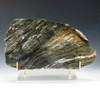 Acasta gneiss [90551] large museum-grade slice shown horizontally on a plexiglass riser with gold prongs, on a graduated background.