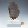Back-facing Middle Stone Age flake scraper from the Barberton Makhonjwa Mountains, South Africa, Sciencemall