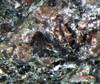 Magnification 1X Nuvvuagittuq garnet paragneiss faux amphibolite, Sciencemall-USA Magnification 1X Nuvvuagittuq garnet paragneiss faux amphibolite, Sciencemall-USA