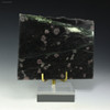 Nuvvuagittuq garnet paragneiss front-facing 110g on riser, for sale at Sciencemall-USA