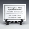 Nuvvuagittuq hydrothermal jaspilite description tag on a coin mount stand Nuvvuagittuq hydrothermal jaspilite description tag on a coin mount stand