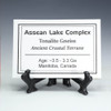 Description tag for Assean Lake Tonalite Gneiss on a black tag stand, Sciencemall-USA