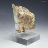 Side view of Richat Structure volcanic breccia with lapilli on display stand, sold by Sciencemall-USA