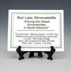 Red Lake stromatolite Canada, description tag on a stand, Sciencemall-USA