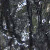 24× macro of Murowa kimberlite matrix showing serpentinized dark groundmass, bright microcrysts, and alteration veins, Sciencemall-USA
