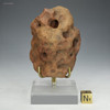 Wind-sculpted 143-gram sandstone from Antarctica, front view with sizing cube, at Sciencemall-USA