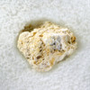Upclose magnification 3× K-Pg boundary Chicxulub, Orange Walk District, Belize, at Sciencemall-USA