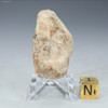 Back-facing Pook's pebble 16 grams on a display base, Sciencemall-USA