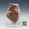 Front-facing authentic Pompeii decorated wall plaster, with sizing cube, on a stand, Sciencemall-USA