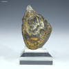 Polymetallic manganese nodule CCZ, open interior, specimen ID: 854489, facing front, Sciencemall-USA