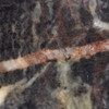 Magnification 2× of Kasegalik stromatolites, Belcher Islands, Nunavut, Sciencemall-USA