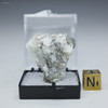 Native Gold xx in quartz ID:22218 facing back in a perky case, Sciencemall-USA