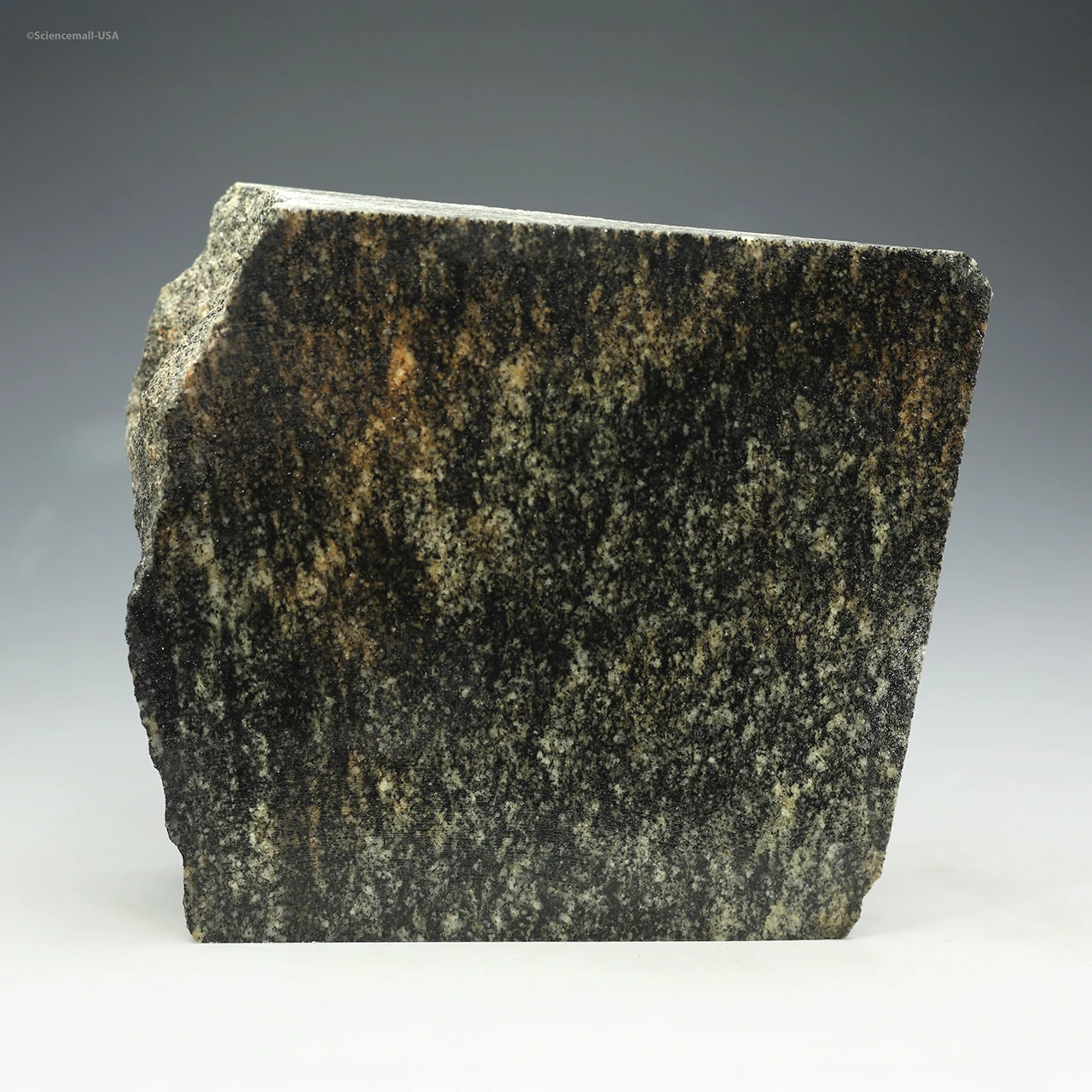 Idiwhaa Tonalitic Acasta Gneiss Canada [628 g ~ 4.02 Ga]