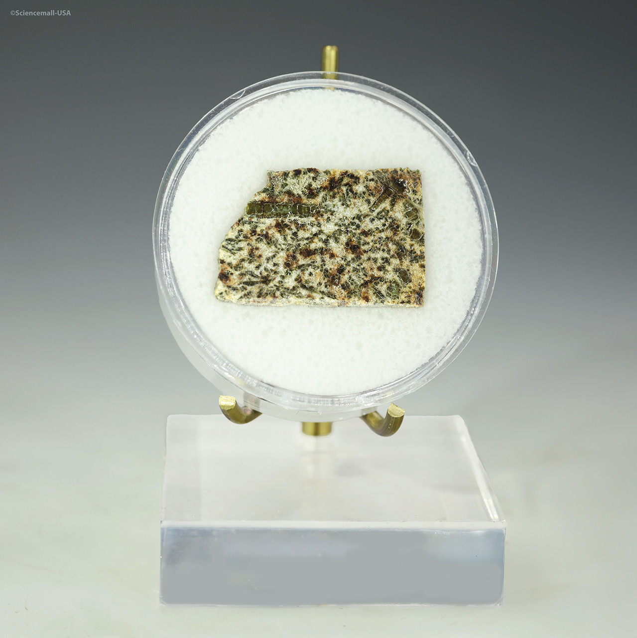 Erg-Chech-002-meteorite-front-