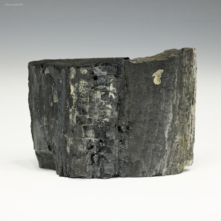 Front-facing Dirty Diamond Mine anthracite coal, 58 g specimen  for sale at Sciencemall-USA