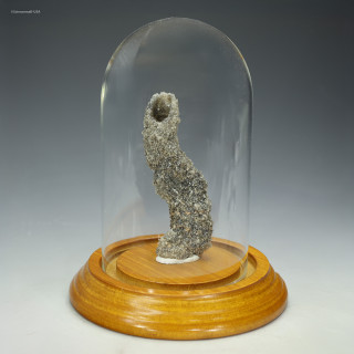 Fulgurite from Tasmania, with glass dome and walnut base, for sale as a science gift at Sciencemall-USA