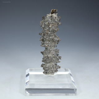 Front-facing fulgurite lightning sand "Champion" shown on a plexiglass riser, Sciencemall-USA