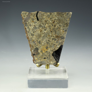 Front-facing Marble Bar Spherule Bed 34g Pilbara Western Australia on a plexiglass riser, for sale at Sciencemall-USA