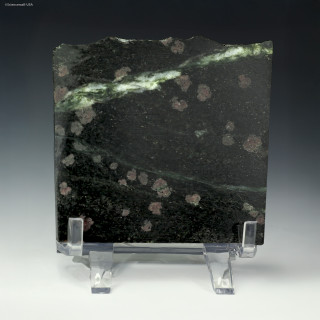 Nuvvuagittuq garnetiferous paragneiss, Porpoise Cove, 152 grams front-facing on a riser, for sale at Sciencemall-USA