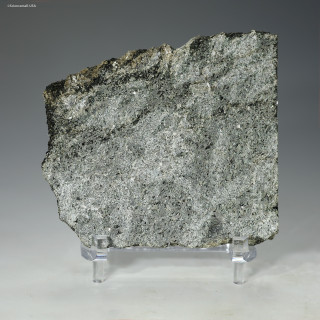 Færingehavn komatiite 96 grams facing front on a display stand, Sciencemall-USA