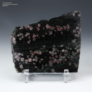 Front facing Nuvvuagittuq Garnet Paragneiss Canada 64 grams on a display stand.