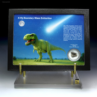 In-color box art about the Chicxulub extinction science gift mini museum: dinosaur, asteroid & specimen at Sciencemall-USA In-color box art about the Chicxulub extinction science gift mini museum: dinosaur, asteroid & specimen at Sciencemall-USA